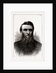 The Hon. D. H. Jerome, Governor-elect of Michigan by Anonymous