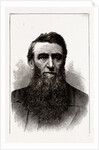 The Hon. D. H. Jerome, Governor-elect of Michigan by Anonymous