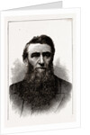 The Hon. D. H. Jerome, Governor-elect of Michigan by Anonymous