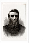 The Hon. D. H. Jerome, Governor-elect of Michigan by Anonymous