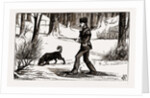 British Columbia, A Province Located On the West Coast of Canada, March On the Crust, Pleasure by Anonymous