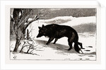 British Columbia, A Province Located On the West Coast of Canada, Dog in the Snow by Anonymous