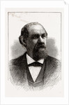 The Hon. T. J. Jarvis, Governor of North Carolina, 1880 by Anonymous