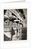 Capitals And Architrave of the Temple At Esneh, 1880, Egypt by Anonymous