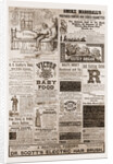 Advertising 1880, USA, Us, America by Anonymous