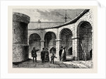 The Tower Menagerie About 1820 by Anonymous