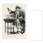 Tiddy Dol by Anonymous