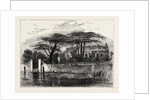 The Botanical Gardens, Chelsea, 1790 by Anonymous