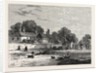 The Old Turnpike, Kensington, in 1820 by Anonymous