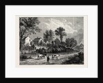 Farm in the Regent's Park, 1750 by Anonymous