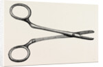 Spencer wells's artery forceps by Anonymous