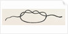 First stage of the surgeon's knot by Anonymous