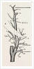 External carotid artery; natural size by Anonymous