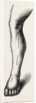 Ligature by Anonymous
