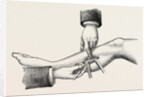 The mode of dividing the solidus muscle in ligature by Anonymous
