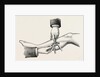The mode of dividing the solidus muscle in ligature by Anonymous