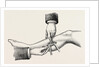 The mode of dividing the solidus muscle in ligature by Anonymous