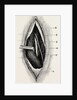 Ligature of by Anonymous