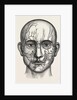 The nerves of the face by Anonymous