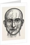 The nerves of the face by Anonymous
