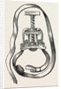 Petit's screw by Anonymous
