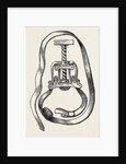 Petit's screw by Anonymous