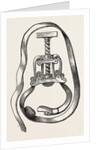 Petit's screw by Anonymous