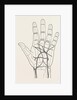Surface markings on the palm of ffile hand by Anonymous
