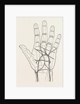 Surface markings on the palm of ffile hand by Anonymous