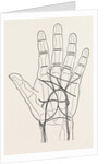 Surface markings on the palm of ffile hand by Anonymous