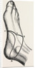 Inner and outer sides of the right foot by Anonymous