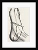 Inner and outer sides of the right foot by Anonymous