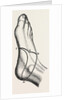 Inner and outer sides of the right foot by Anonymous