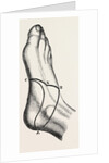 Inner and outer sides of the right foot by Anonymous