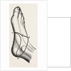 Inner and outer sides of the right foot by Anonymous