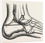 Pasquier by Anonymous