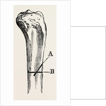Method of method of sawing by Anonymous