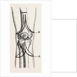 Stephen smith's by Anonymous
