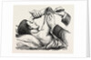 Excision of the elbow, the clearing of the humerus by Anonymous