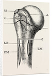 Diagram by Anonymous