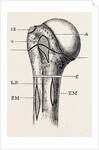 Diagram by Anonymous