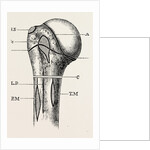 Diagram by Anonymous