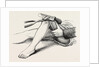 Excision of the knee, the sawing of the lower end by Anonymous