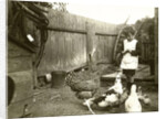 Eckart Titzenthaler, son of the photographer standing on a farm with chickens and geese by Waldemar Titzenthaler