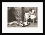 Marba and Eckart Titzenthaler, children of the photographer, standing on a farm with chickens and geese by Waldemar Titzenthaler