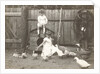 Marba and Eckart Titzenthaler, children of the photographer, standing on a farm with chickens and geese by Waldemar Titzenthaler