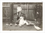 Marba and Eckart Titzenthaler, children of the photographer, standing on a farm with chickens and geese by Waldemar Titzenthaler