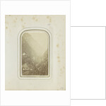 View of the Mountain Pass Pass Lueg in the Austrian Alps, Austria by Anonymous