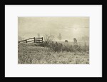 Meadow Landscape by Peter Henry Emerson