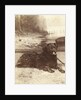 Portrait of a dog who saved the life of W.A. Blokhuis in the fire at his factory at night on 20-21 July 1886 by Abraham Koorenhoff